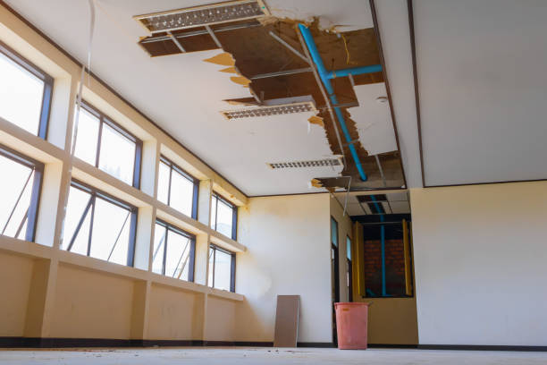 Best 24/7 water damage repair  in Pulaski, VA