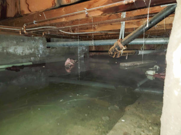 Best Water damage restoration near me  in Pulaski, VA