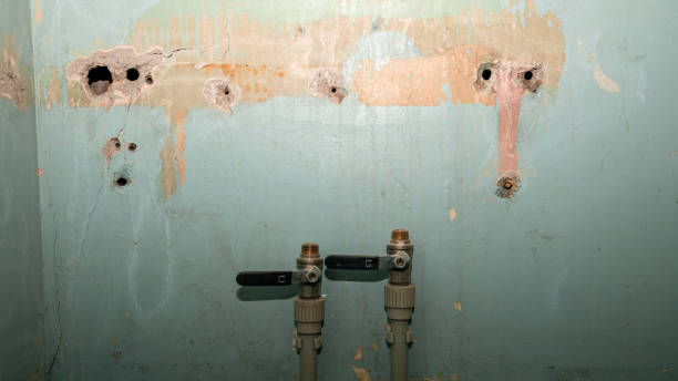 Best Water damage contractors near me  in Pulaski, VA