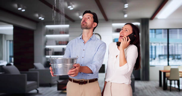 Best Flooded house restoration  in Pulaski, VA